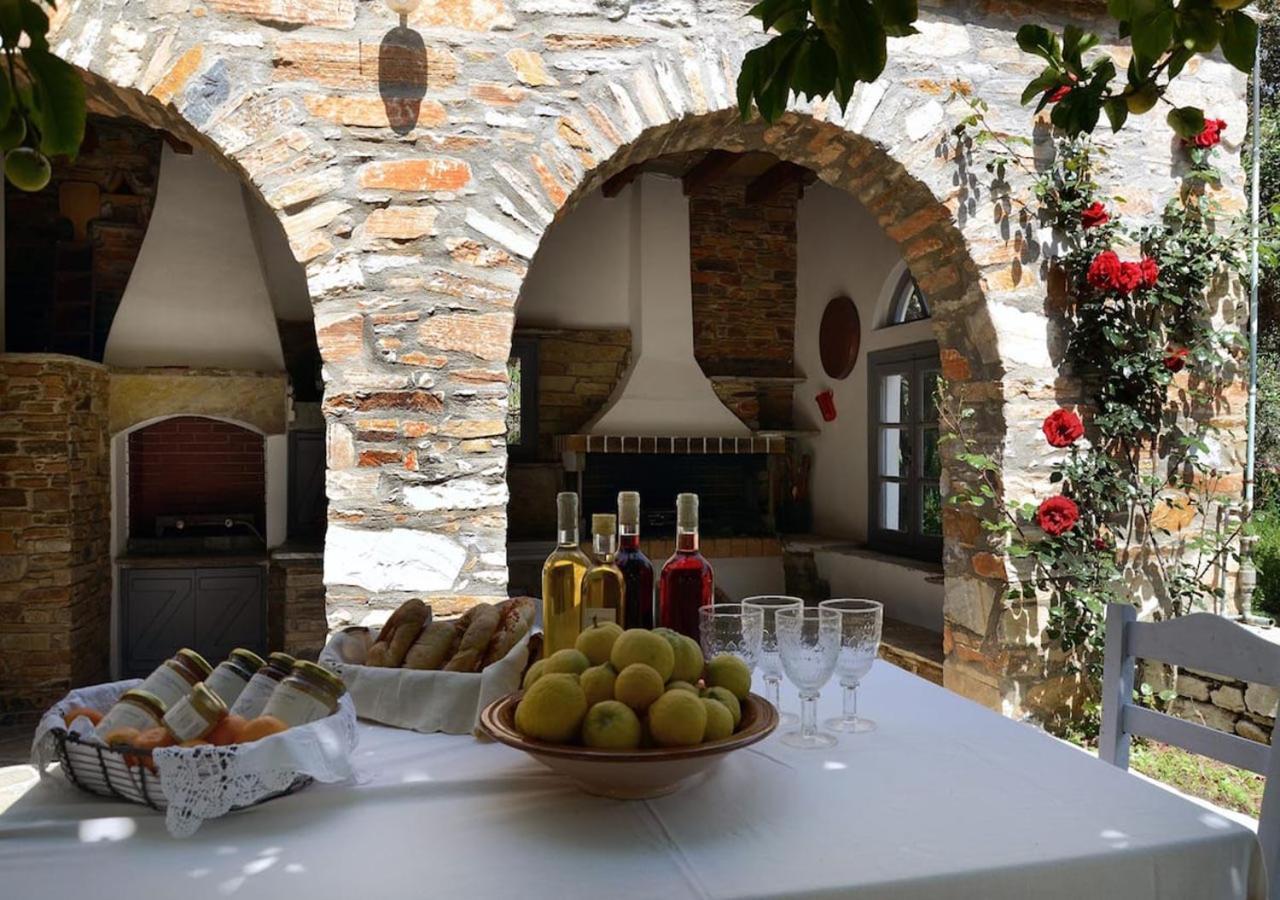 Romano Garden House - Land Tales Agios Romanos Extérieur photo