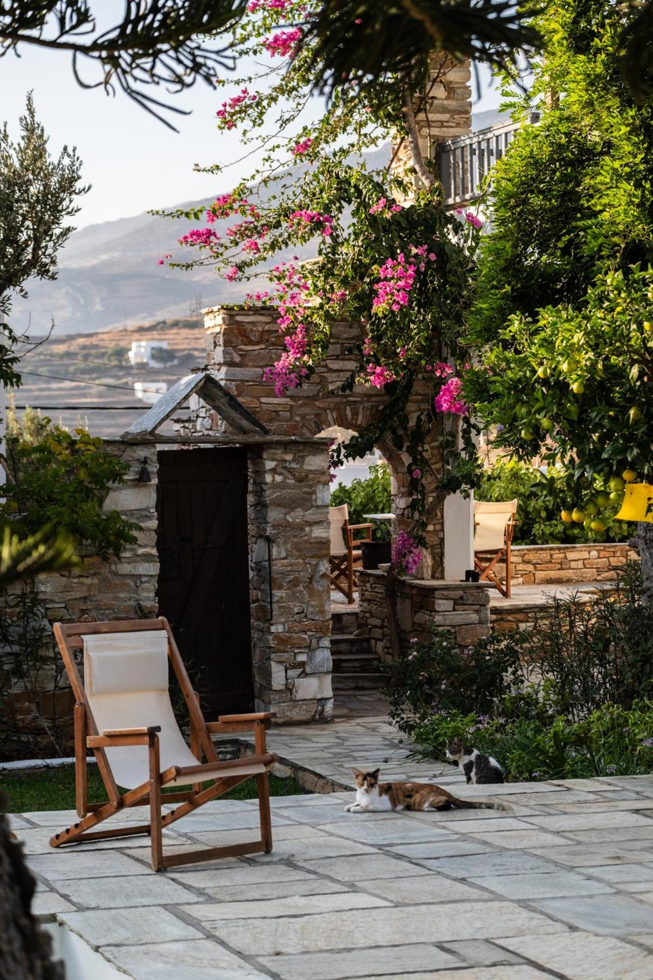 Romano Garden House - Land Tales Agios Romanos Extérieur photo