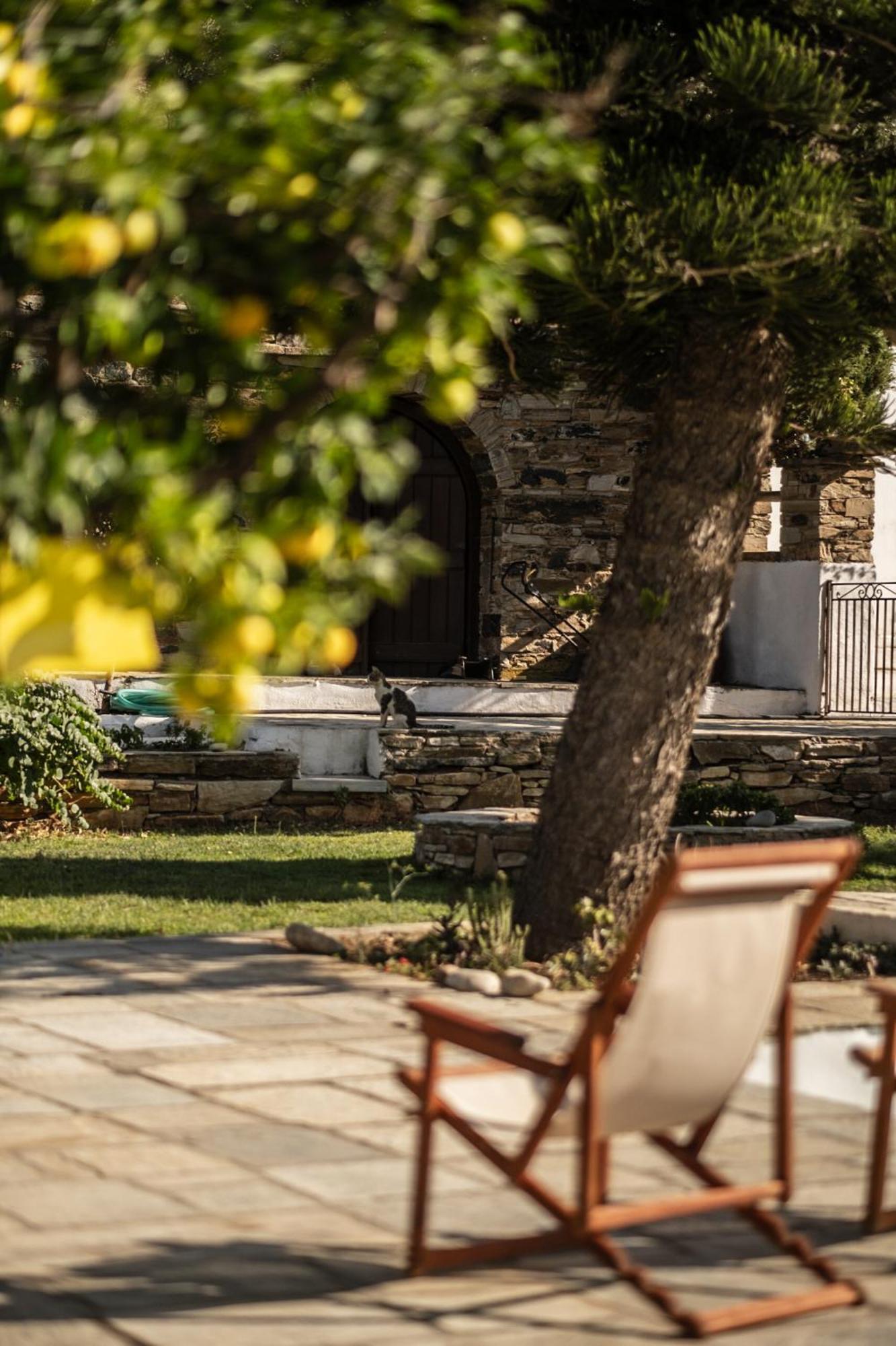 Romano Garden House - Land Tales Agios Romanos Extérieur photo