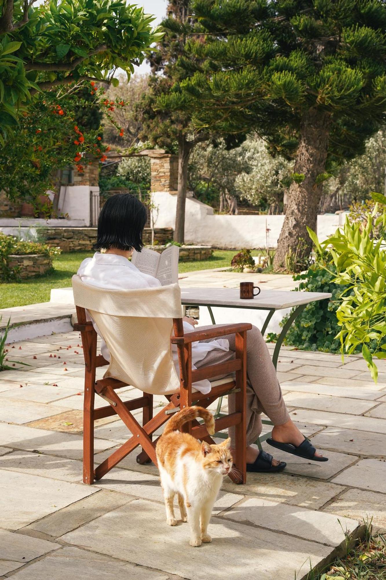 Romano Garden House - Land Tales Agios Romanos Extérieur photo